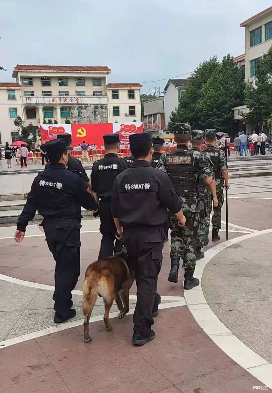 【湖南婁底】巡邏警犬已上崗，給你滿滿安全感！(圖1)