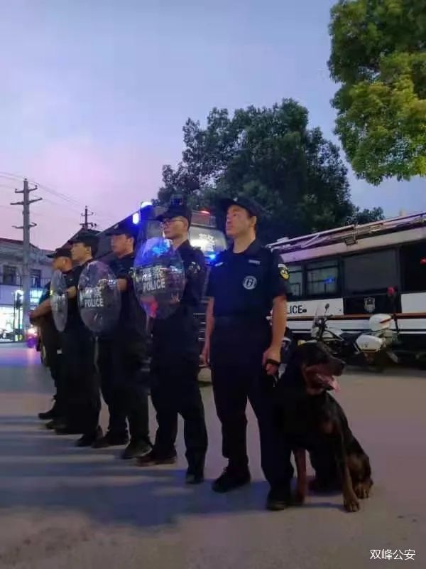 【湖南婁底】巡邏警犬已上崗，給你滿滿安全感！(圖2)