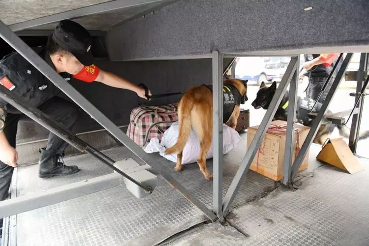 顯性用警:森源鴻馬移動(dòng)警務(wù)車進(jìn)一步提升街面見警率管事率 (圖2) 顯性用警:森源鴻馬移動(dòng)警務(wù)車進(jìn)一步提升街面見警率管事率 (圖2)