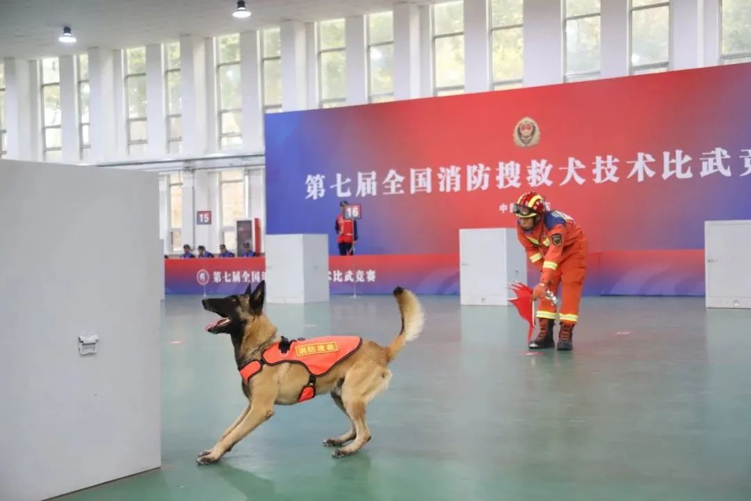 搜救犬的新座駕——搜救犬運(yùn)輸車+方艙(圖1) 搜救犬的新座駕——搜救犬運(yùn)輸車+方艙(圖1)