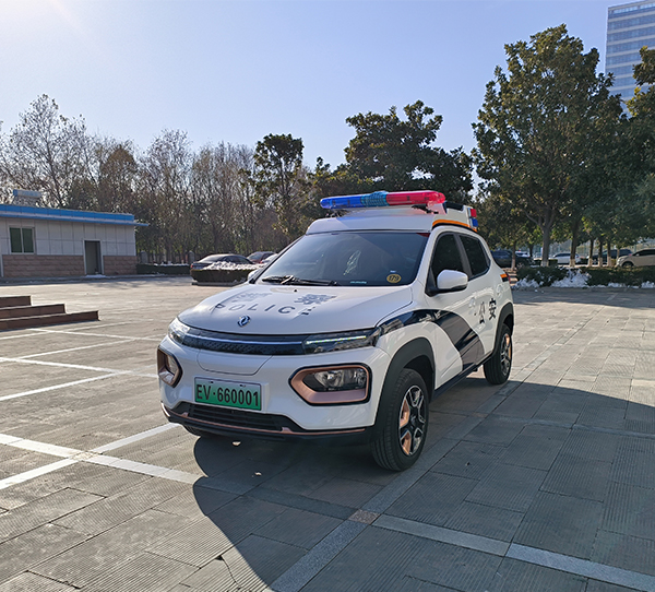 森源鴻馬電動(dòng)巡邏車發(fā)往河北(圖3) 森源鴻馬電動(dòng)巡邏車發(fā)往河北(圖3)